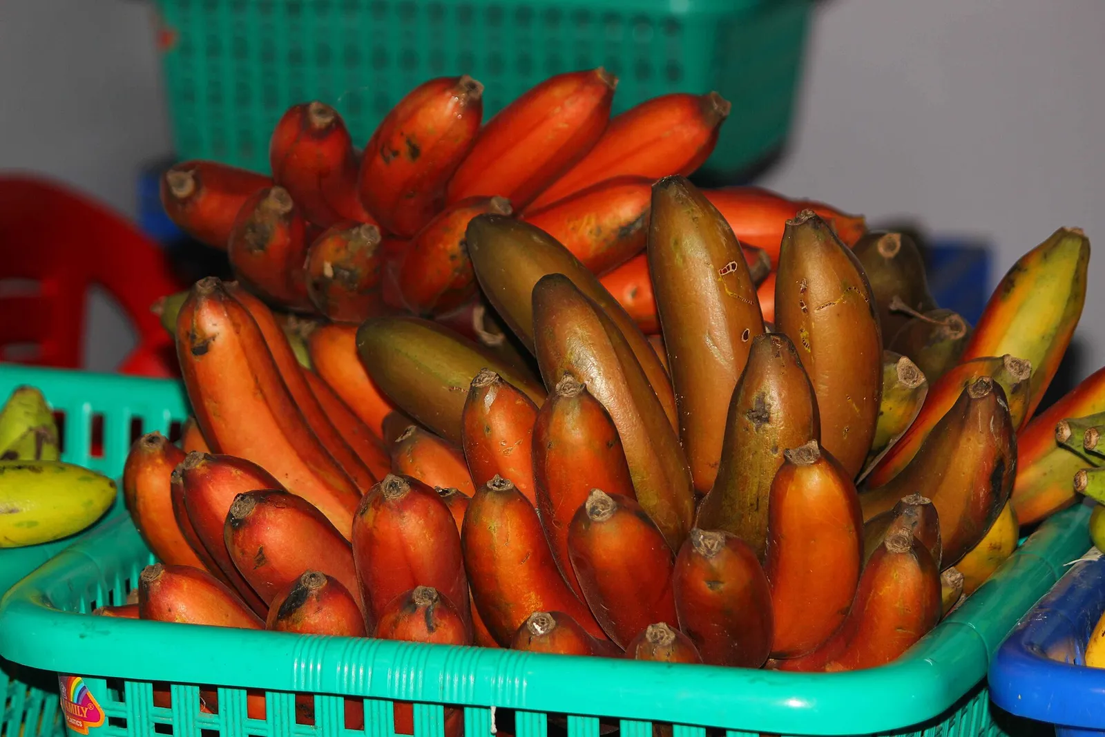 Ripe red bananas (Sevvazhai) with thick maroon-red peel in a market basket