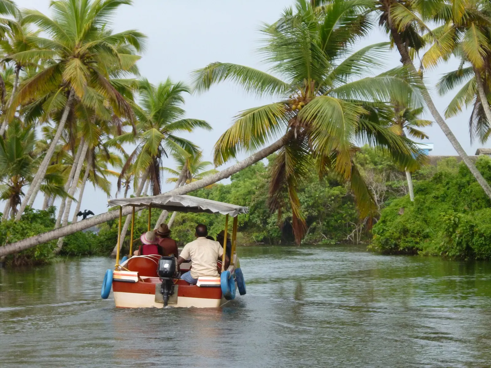 Tourist boat on the Poovar backwaters near Kovalam, a popular half-day detour